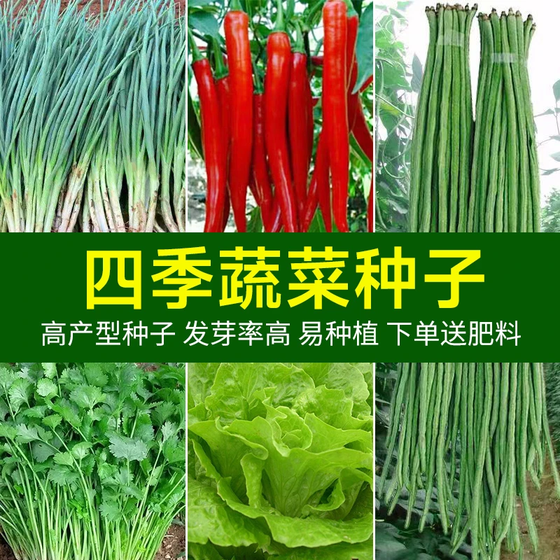 【云觅家庭园艺】有机蔬菜种子组合蔬菜籽四季高产种植阳台种菜