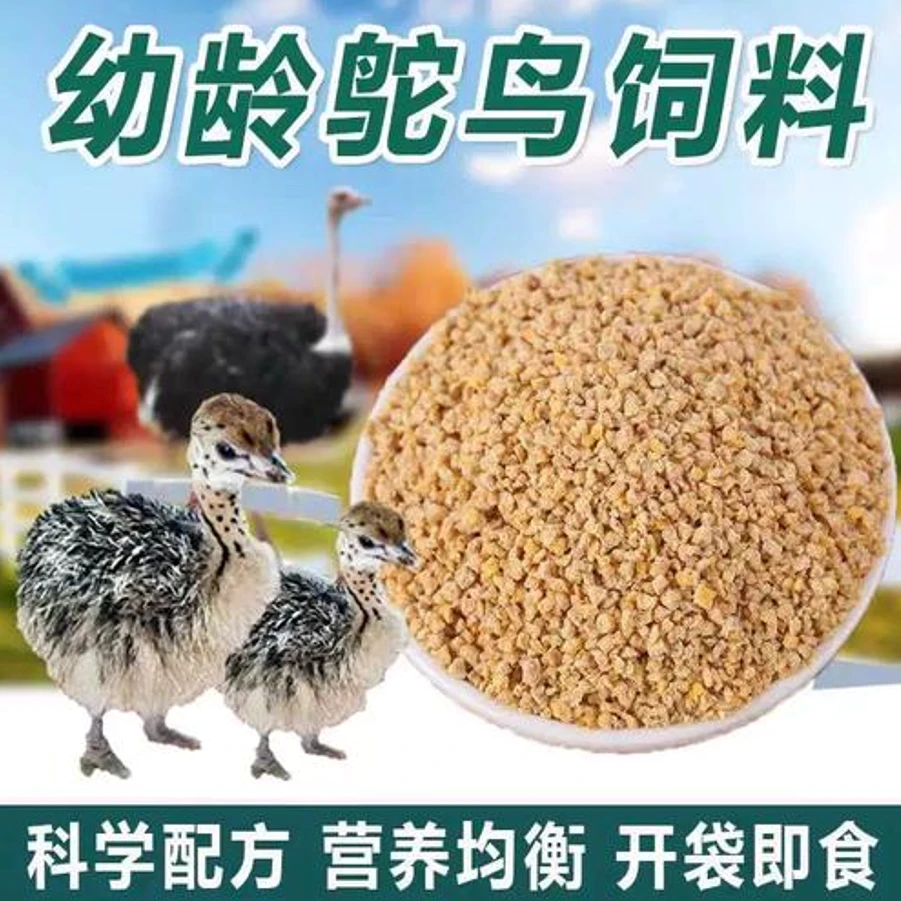 养殖场直销鸵鸟饲料45天不包邮