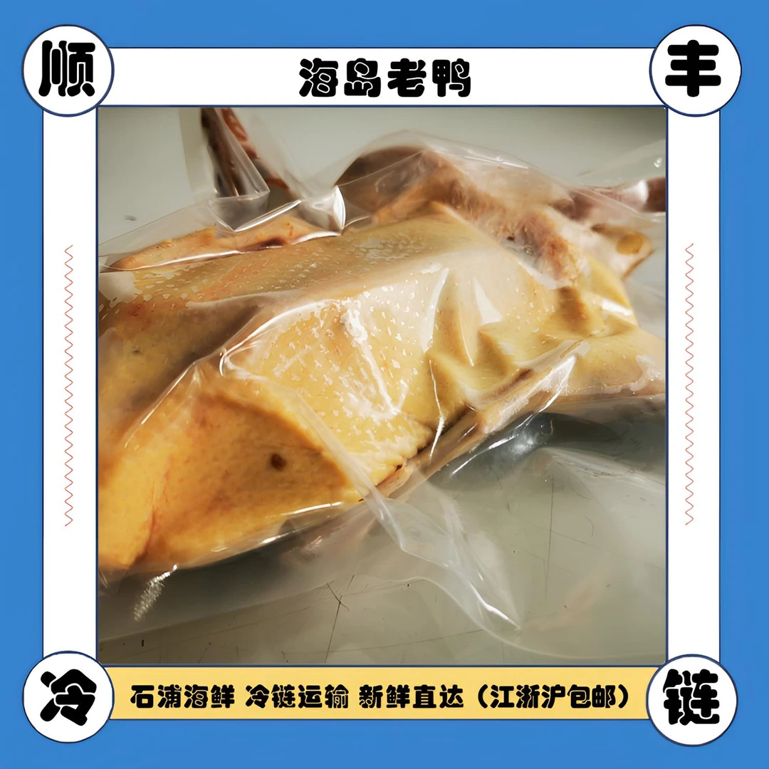 象山海岛2年老鸭海鸭 净含量2.5斤左右/只 精选美味香味人工下单