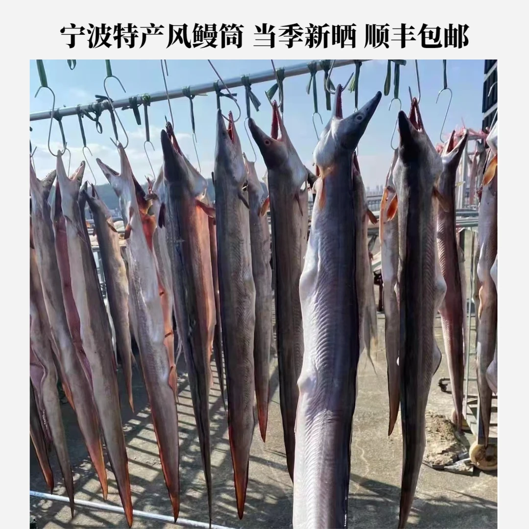 宁波特产整条风鳗鱼微微咸风鳗筒 咸鱼当季新晒 鱼鲞海鲜干货顺丰