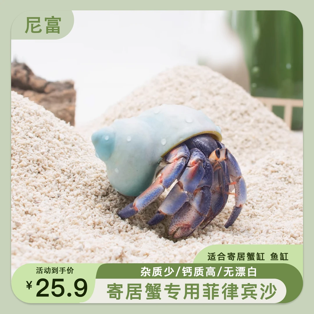尼富寄居蟹专用沙纯天然垫材白沙珊瑚沙菲律宾沙子寄居蟹垫材