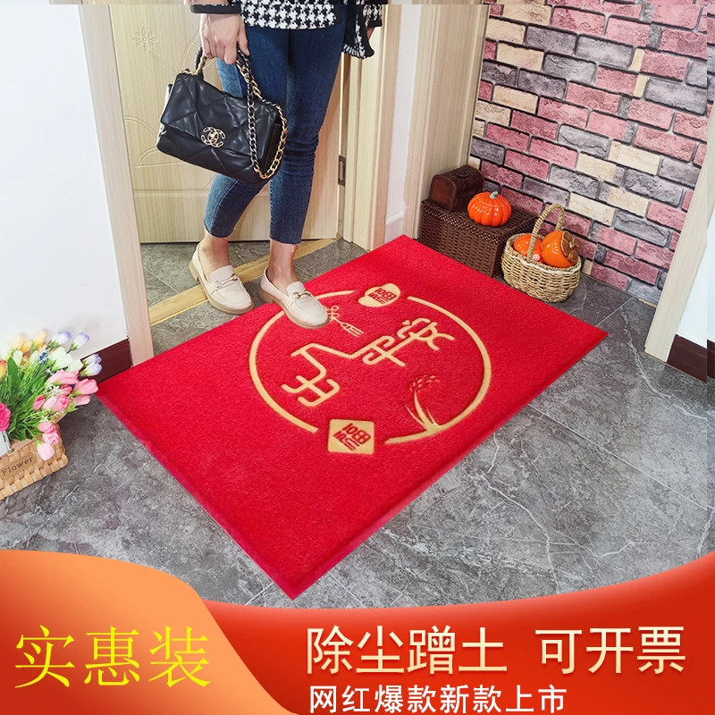 软丝圈2023年新款进门脚垫入户门垫出入平安地垫加厚塑料门口垫子