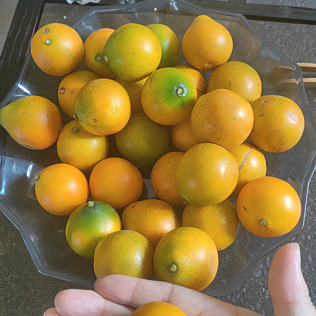 融安脆蜜金桔（不支持退货）瑕疵花皮果  3斤5斤装佳品特产送礼清甜