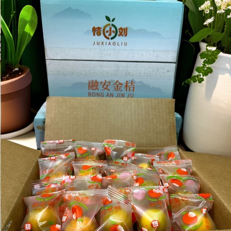 融安脆蜜金桔爆汁如蜜脆嫩爽口每颗都是维c小金库正宗融安出品