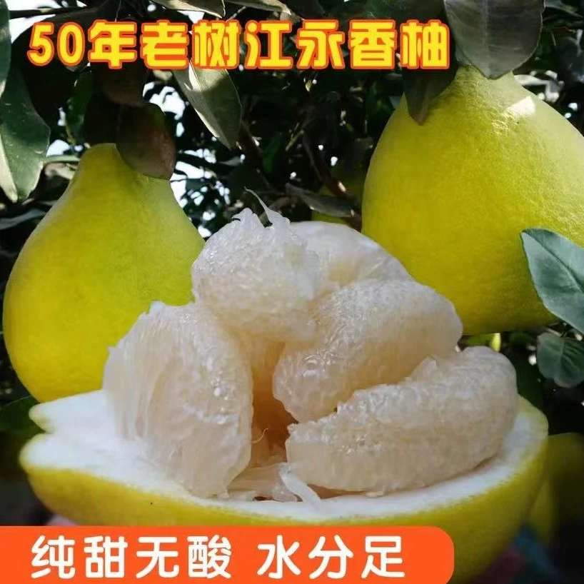 湖南江永香柚正宗老树沙田柚新鲜纯甜无酸柚子9斤