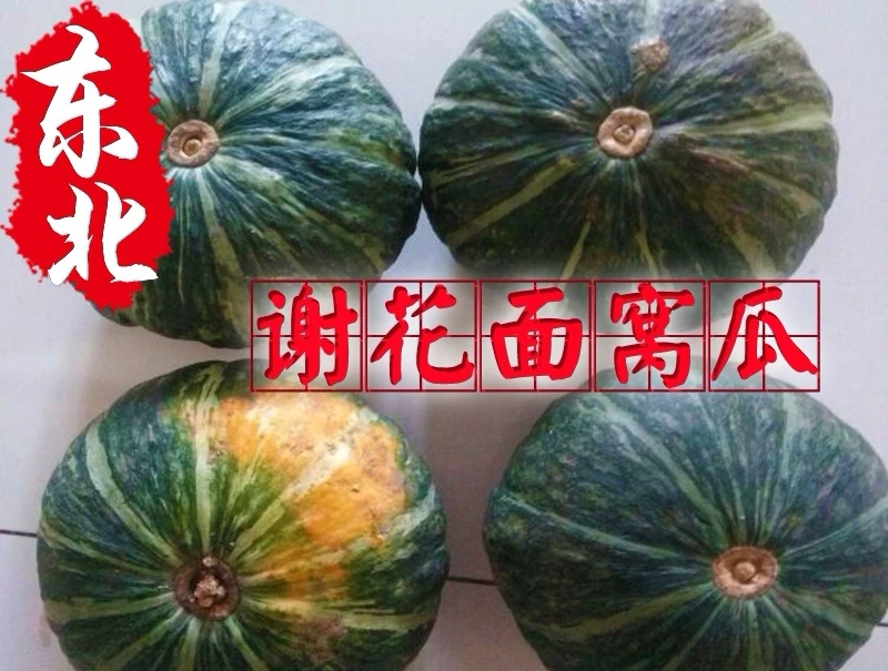 东北绿色面窝瓜(3.8斤到4.2斤之间)