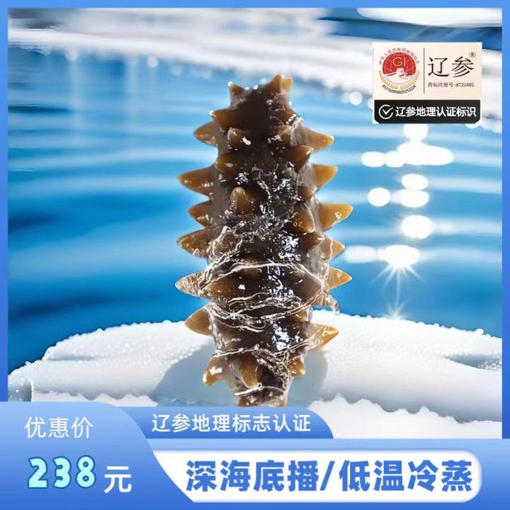 海名堂大连海名堂高品质深海底播即食辽参6-13头500g