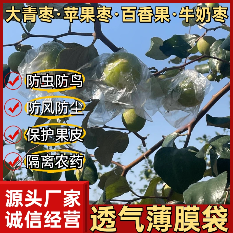 大青枣防虫袋蜜思枣专用袋百香果李子套袋包邮牛奶枣防虫透气袋