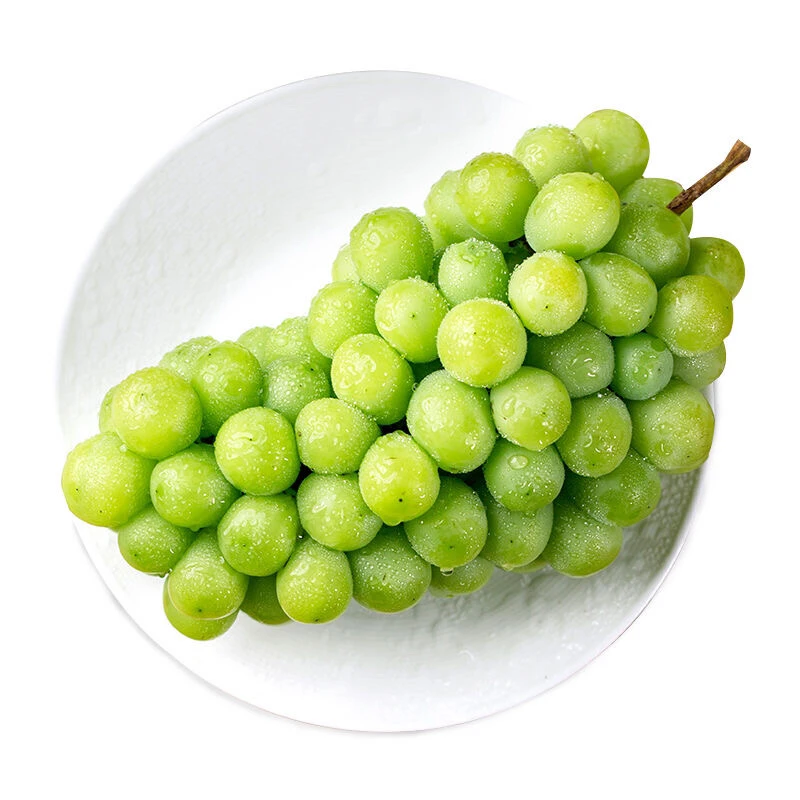 【摘粒】阳光玫瑰青提500g+云南省
