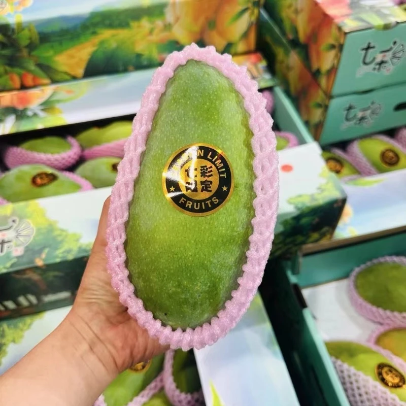 越南大青芒果1斤起步 可免费切
