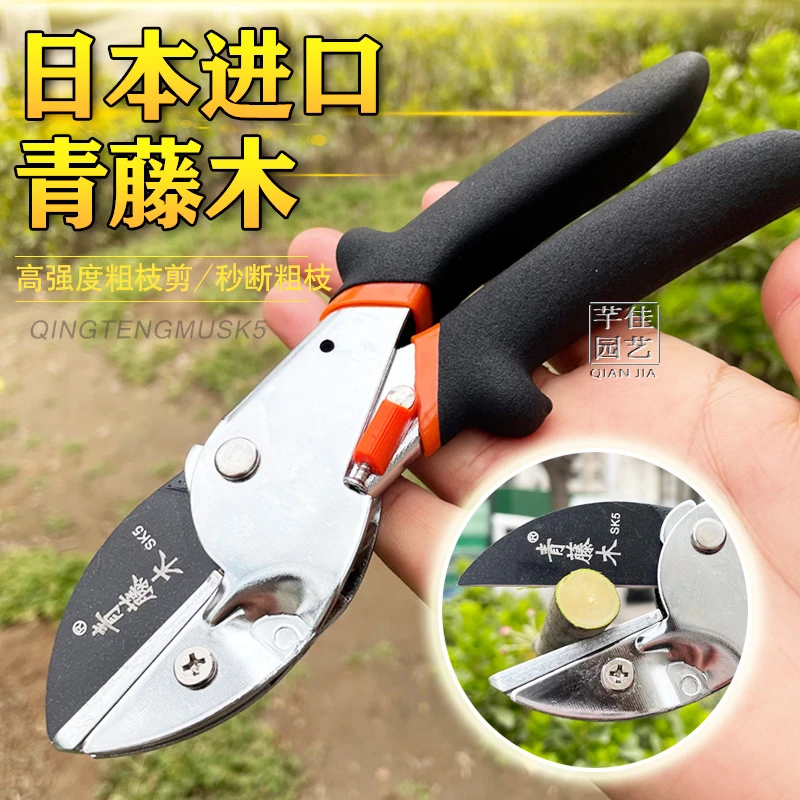 日本原装进口青藤木sk5钢修枝剪园林果树花艺剪省力修剪树枝剪刀