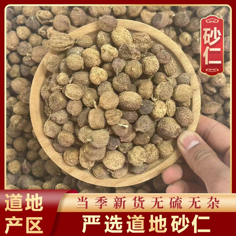 珣康药业【砂仁】正宗精选货 砂仁 干果 煲汤泡水 无硫