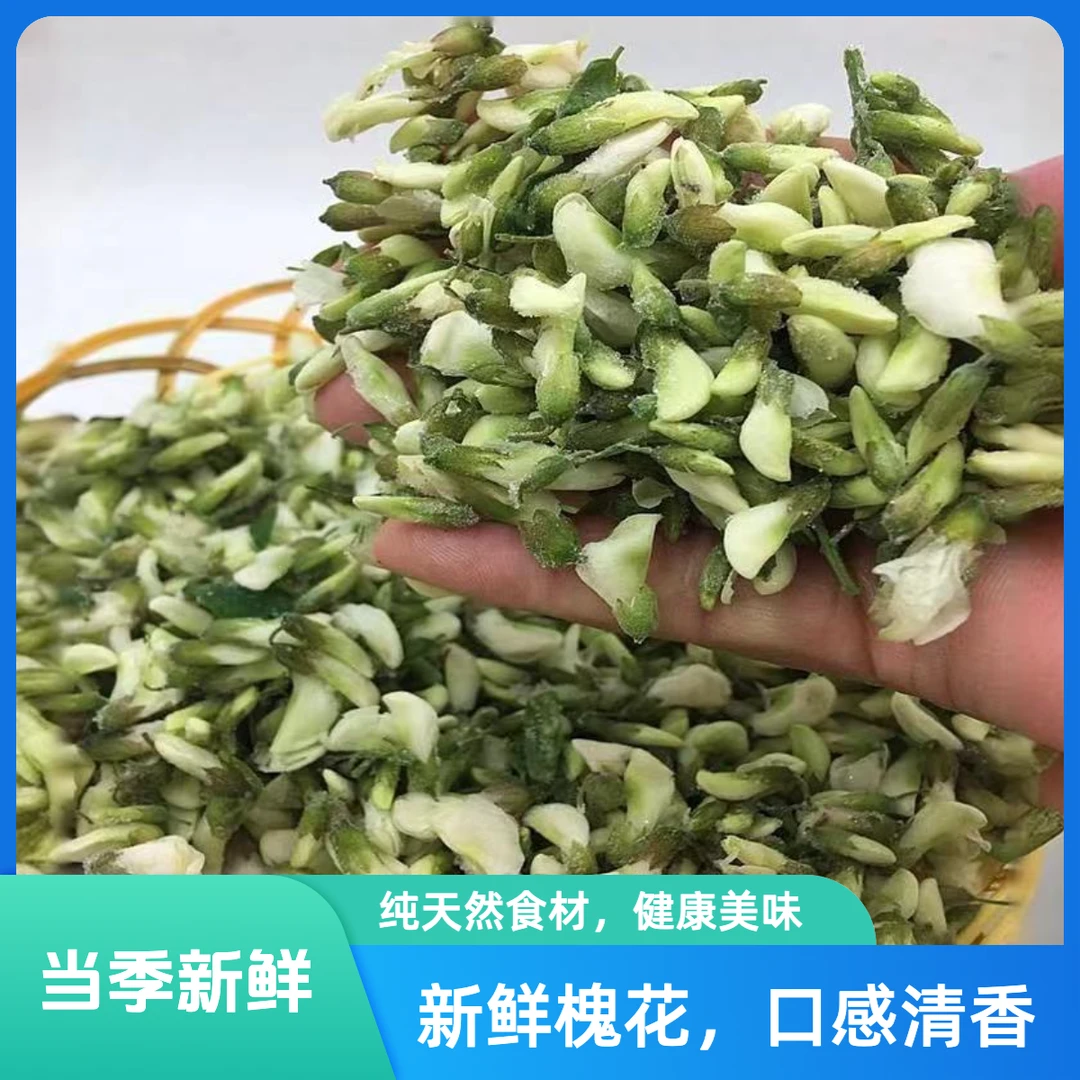 当季新鲜采摘槐花自然晒干包包子包饺子醇香