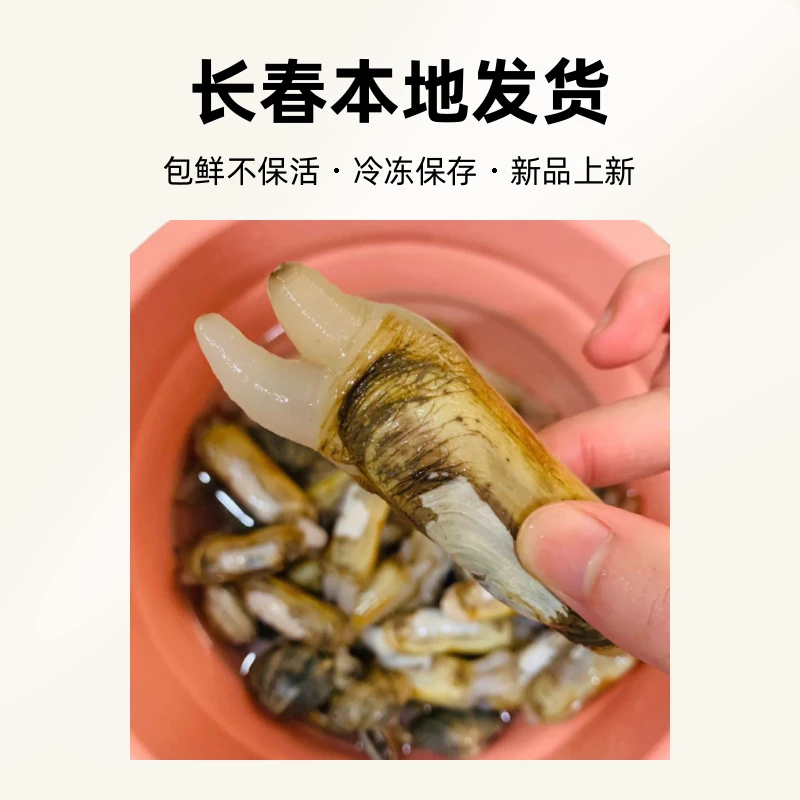 蛏子2-3斤长春本市鲜活发货 包鲜不保活