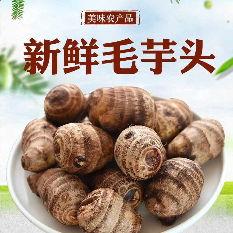 山东芋头新鲜芋艿香芋毛芋头农家自种小芋头现挖粉糯毛芋优质