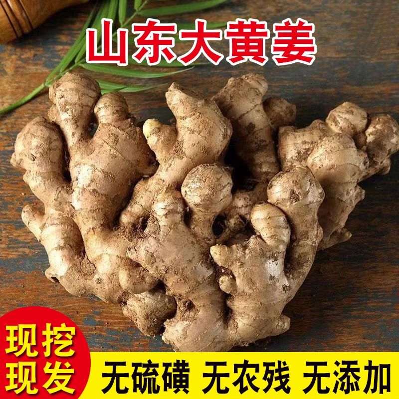 山东香辣大黄姜大块姜老姜生姜新姜姜母干姜新鲜带泥发货姜味浓郁