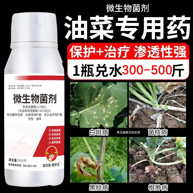 油菜病菌清油菜杀菌剂微生物菌剂霜霉病菌核病白粉病黑斑病白锈病