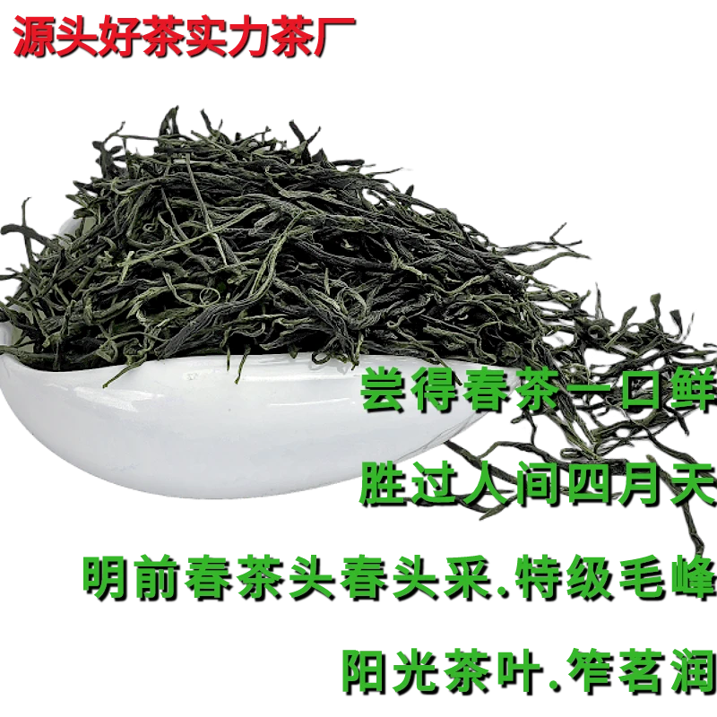 笮茗润新茶国胜茶毛峰明前头采摘春茶兰花香栗香四川高山阳光茶叶