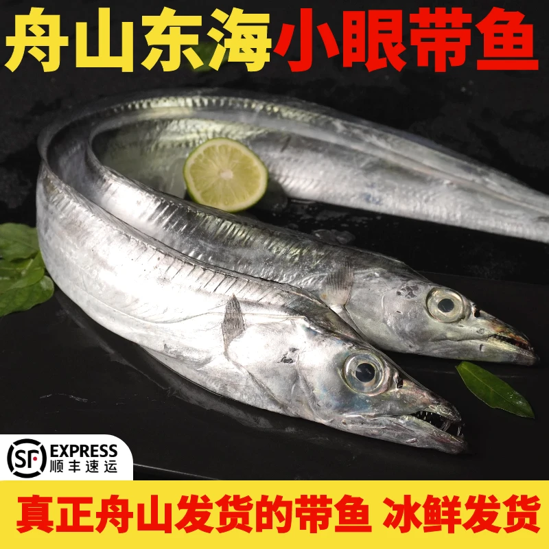 清理发货 4-6两 舟山新鲜东海小眼睛带鱼整条带鱼  可蒸可煮 8条