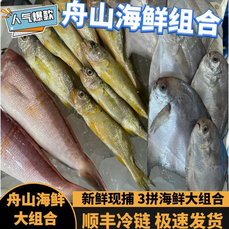 正宗舟山海鲜组合礼包  新鲜捕捞  新鲜海鲜  三种海鲜【狗哥专属】