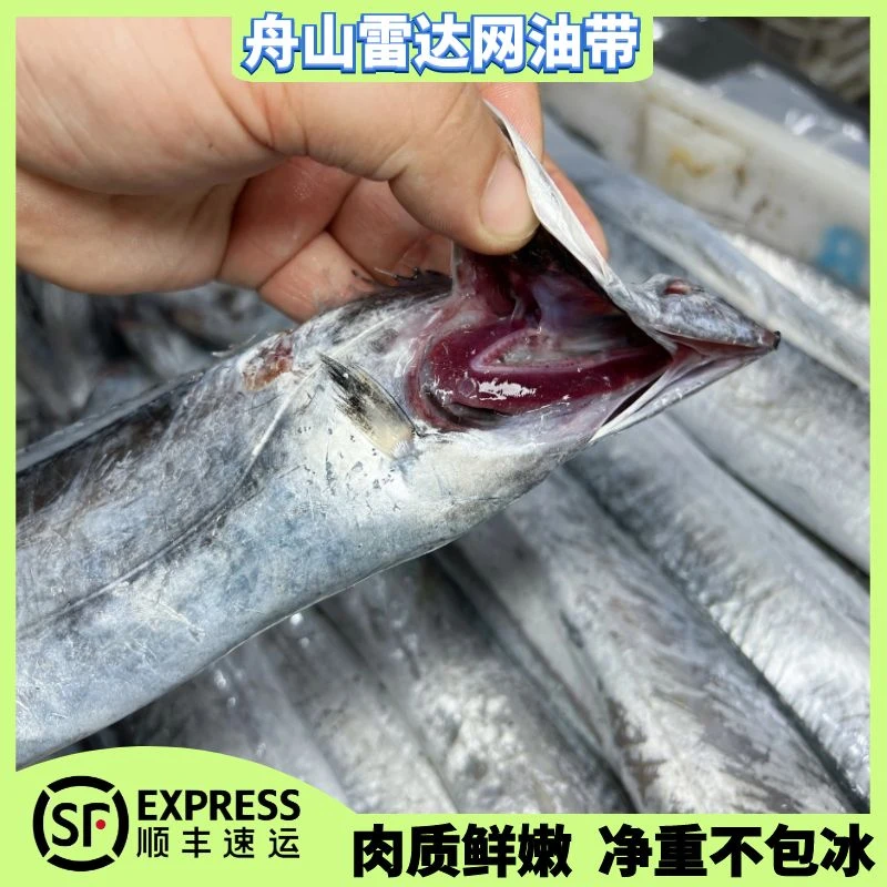 【大油带】正宗舟山小眼油带鱼 网捕带鱼 油香四溢 可蒸可煮