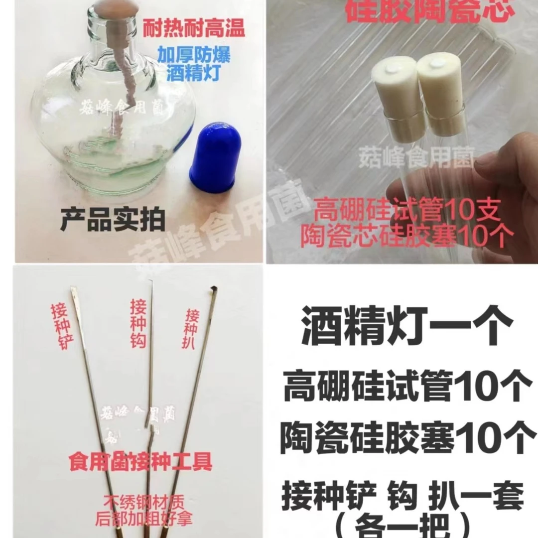 食用菌接种工具6件酒精灯试管硅胶赛接种钩接种铲接种扒母种原种