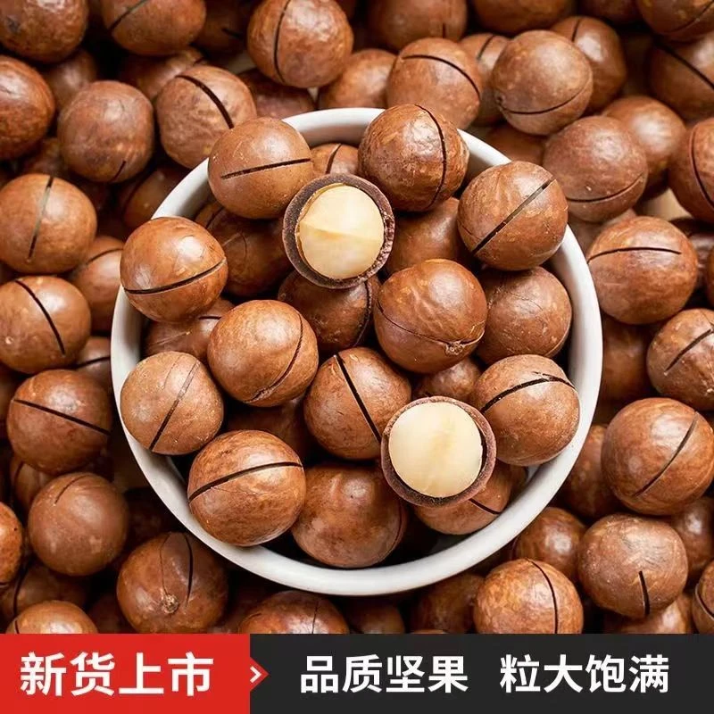【新疆西藏包邮】夏威夷皮奶香大果奶油味500g坚果炒货孕妇零食核桃