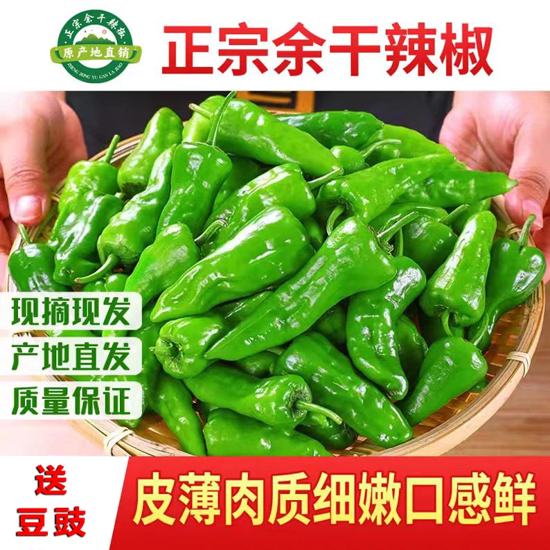 余干辣椒正宗余干原产地辣椒现摘现发送豆豉