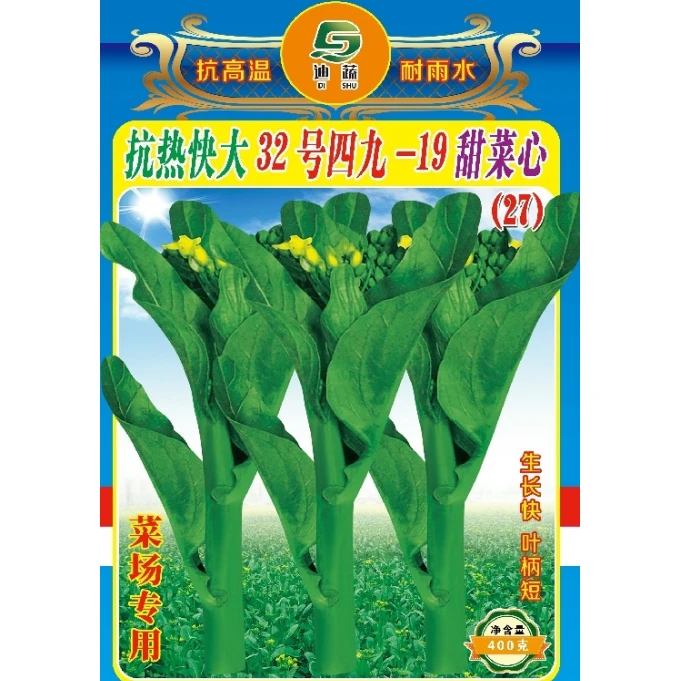 菜心种子027四九 -19 甜菜心种子四九菜心种植户