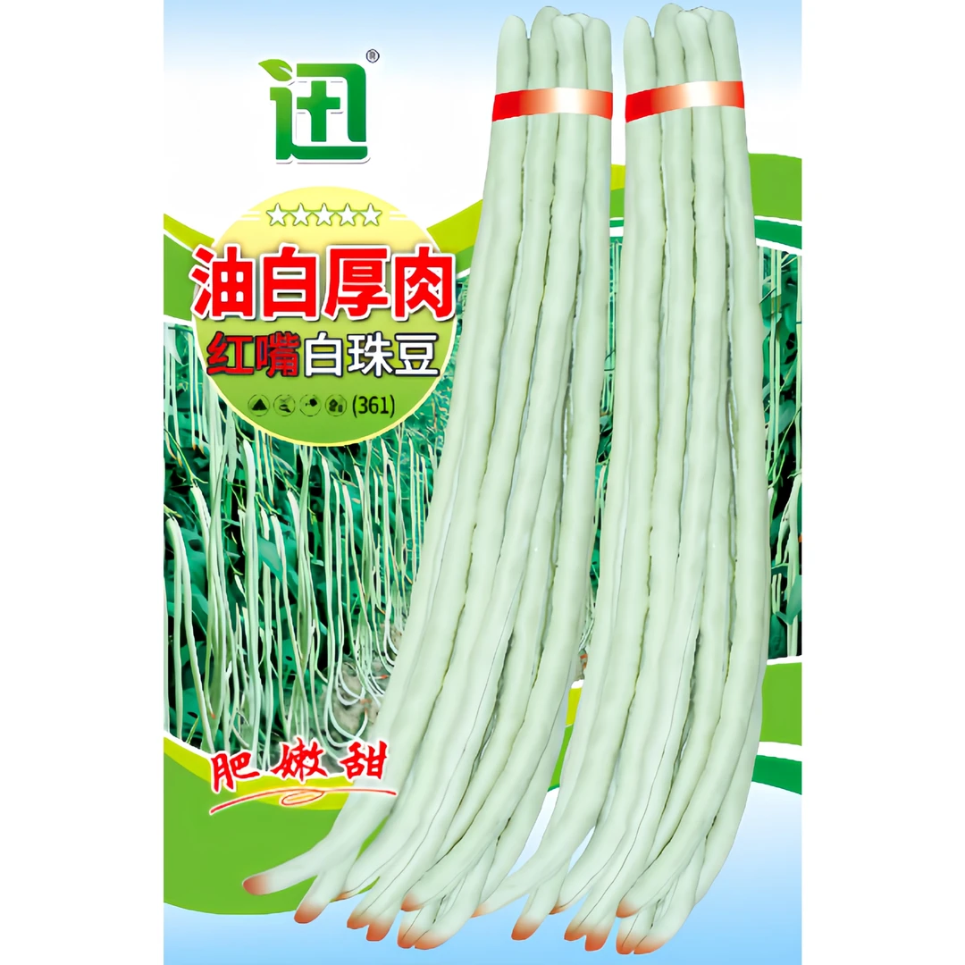红嘴长豇豆种子油白厚肉红嘴白珠豆种子
