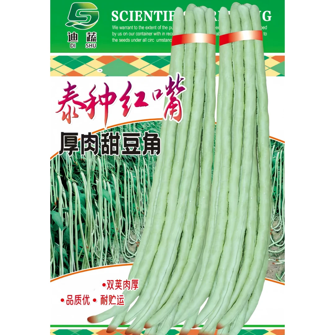 泰种红嘴厚肉甜豆角种子长豇豆种子