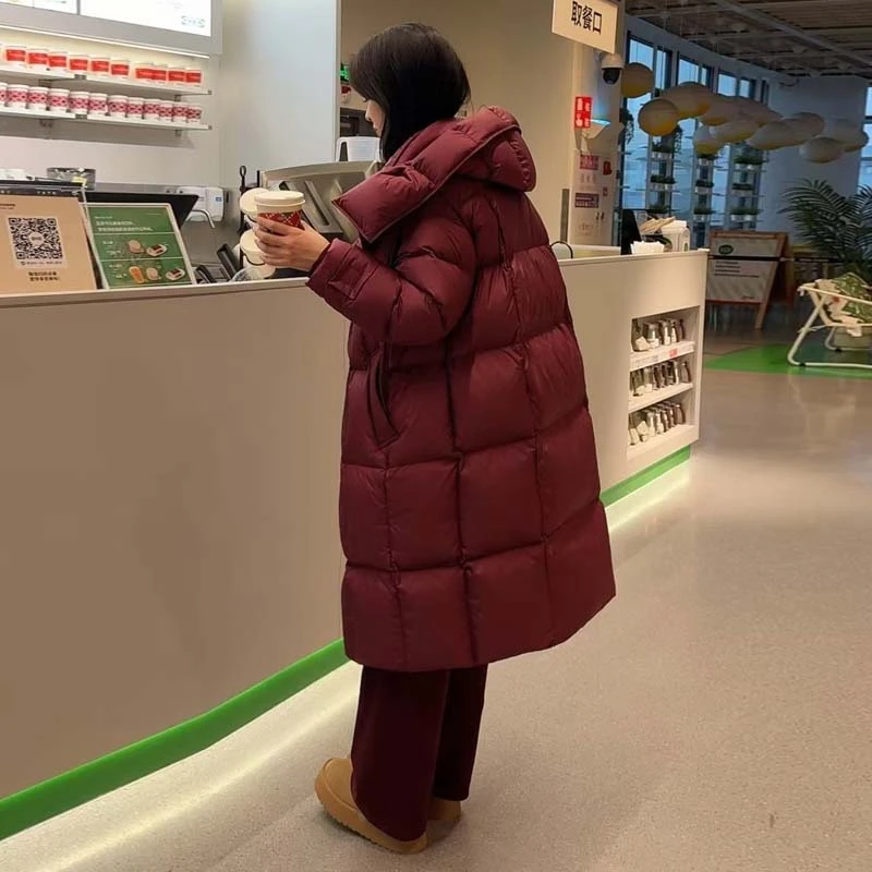 （一蔚专属）95真鹅绒 350克超大充绒量2024冬季长款新国标羽绒服