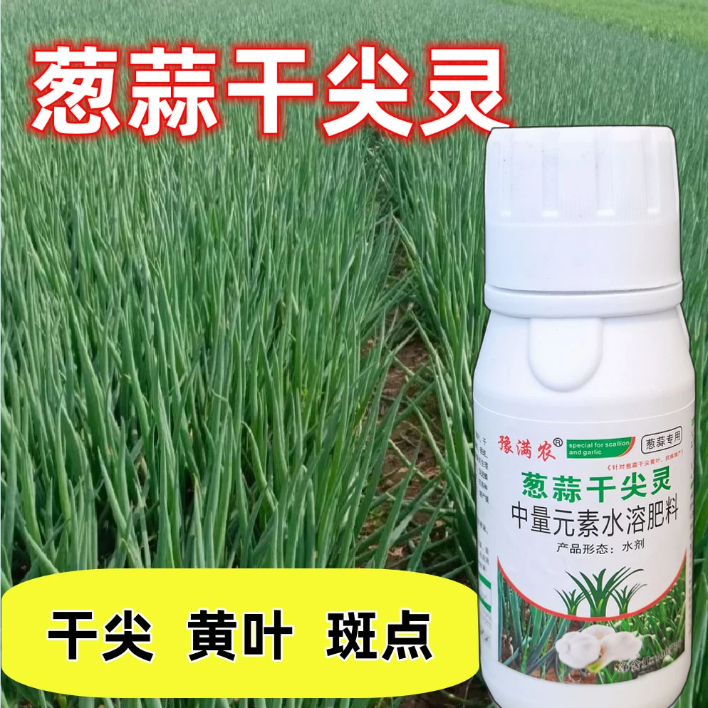蒜葱姜产品干尖灵干尖黄叶斑点大葱增产大蒜增产姜增产大蒜干尖
