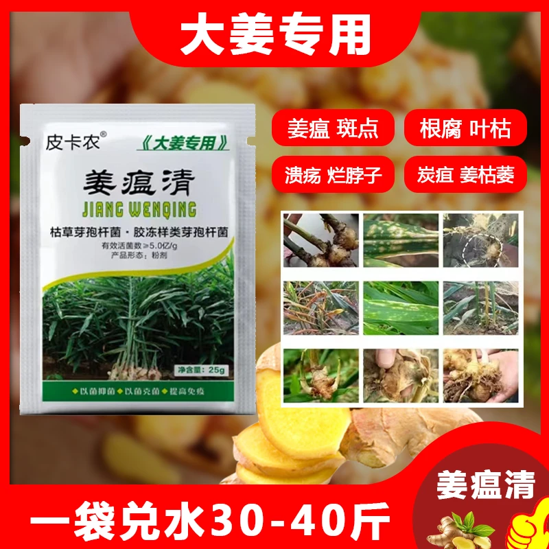姜瘟灵生姜杀菌剂大姜烂脖子病抗病干尖黄叶有机肥