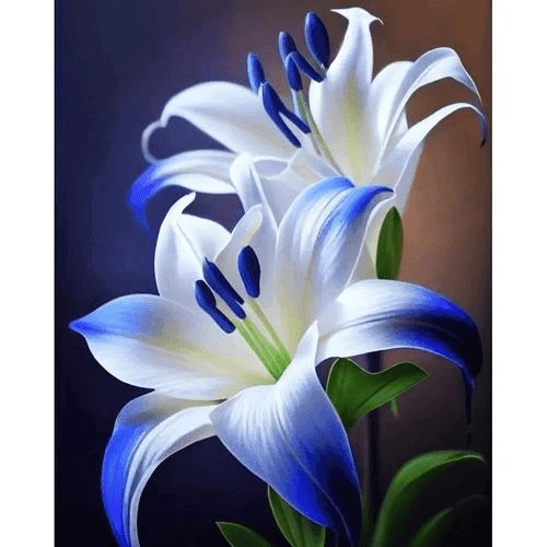 全新品种【北极星】香水百合种球四季花卉好养易活盆栽浓香百合种球