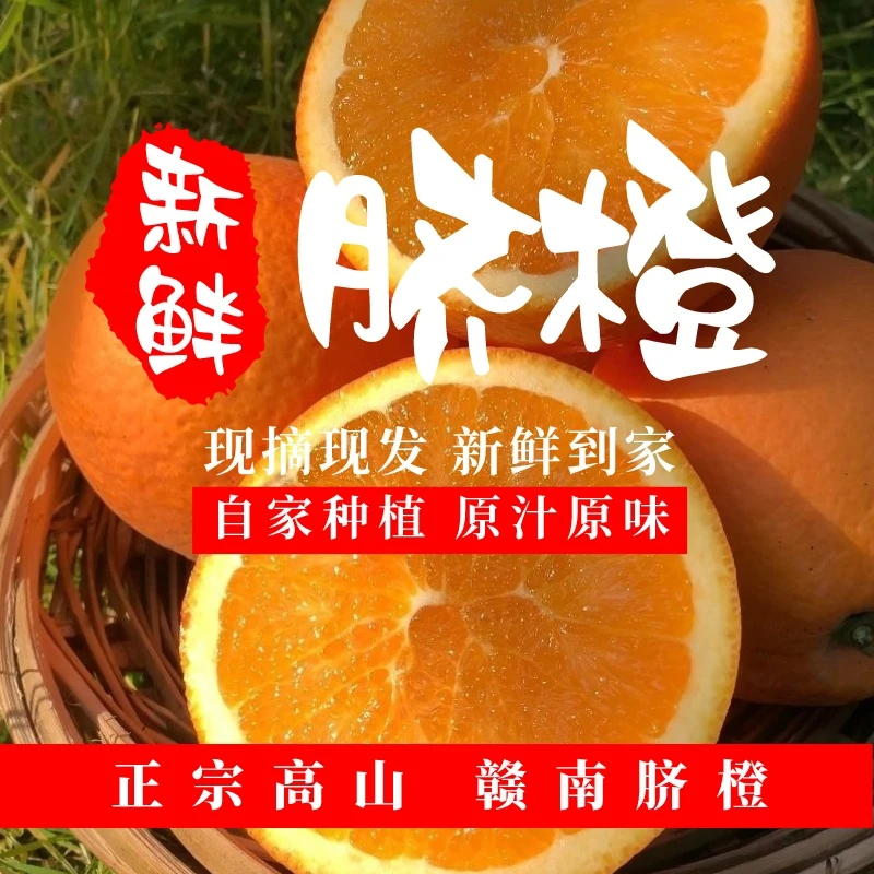 【高大美】江西橙子赣南脐橙当季水果新鲜采摘果园直发