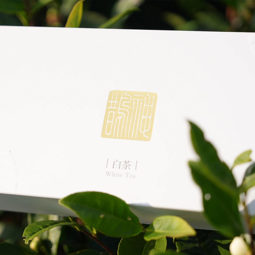 明前白芽商务装贵州高山生态品质卓越一级好茶神鹊茶业扶摇直上