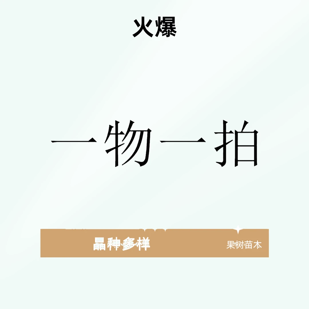 直播间一物一拍对版果树苗