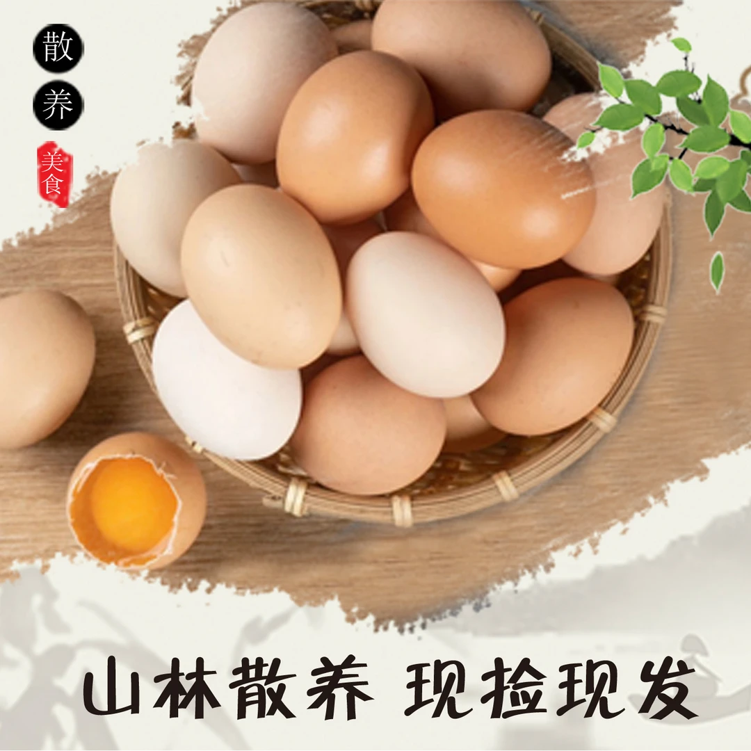 新鲜黄心土鸡蛋 山林放养 40枚/1700g左右 散养土鸡蛋 高品质