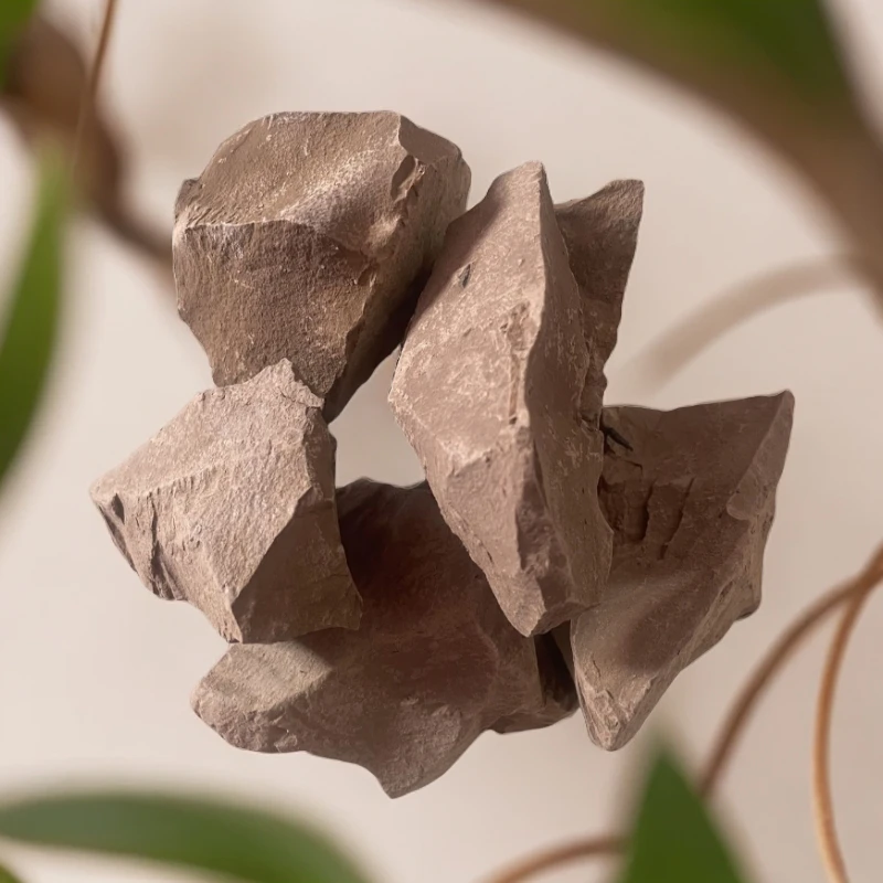 营养土边角盲盒五斤装直播间福利