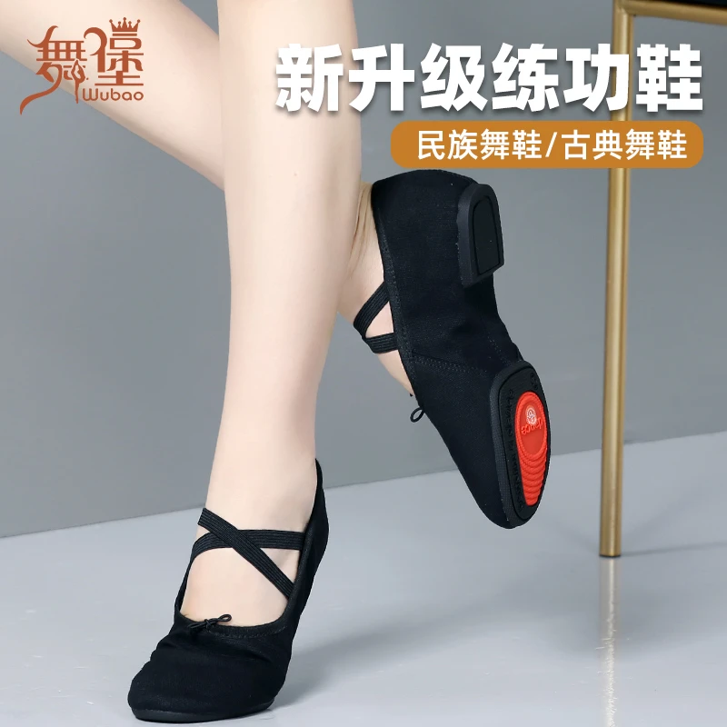 正品舞蹈教师鞋表演舞鞋室外练功低跟黑色形体鞋新款民族舞鞋102