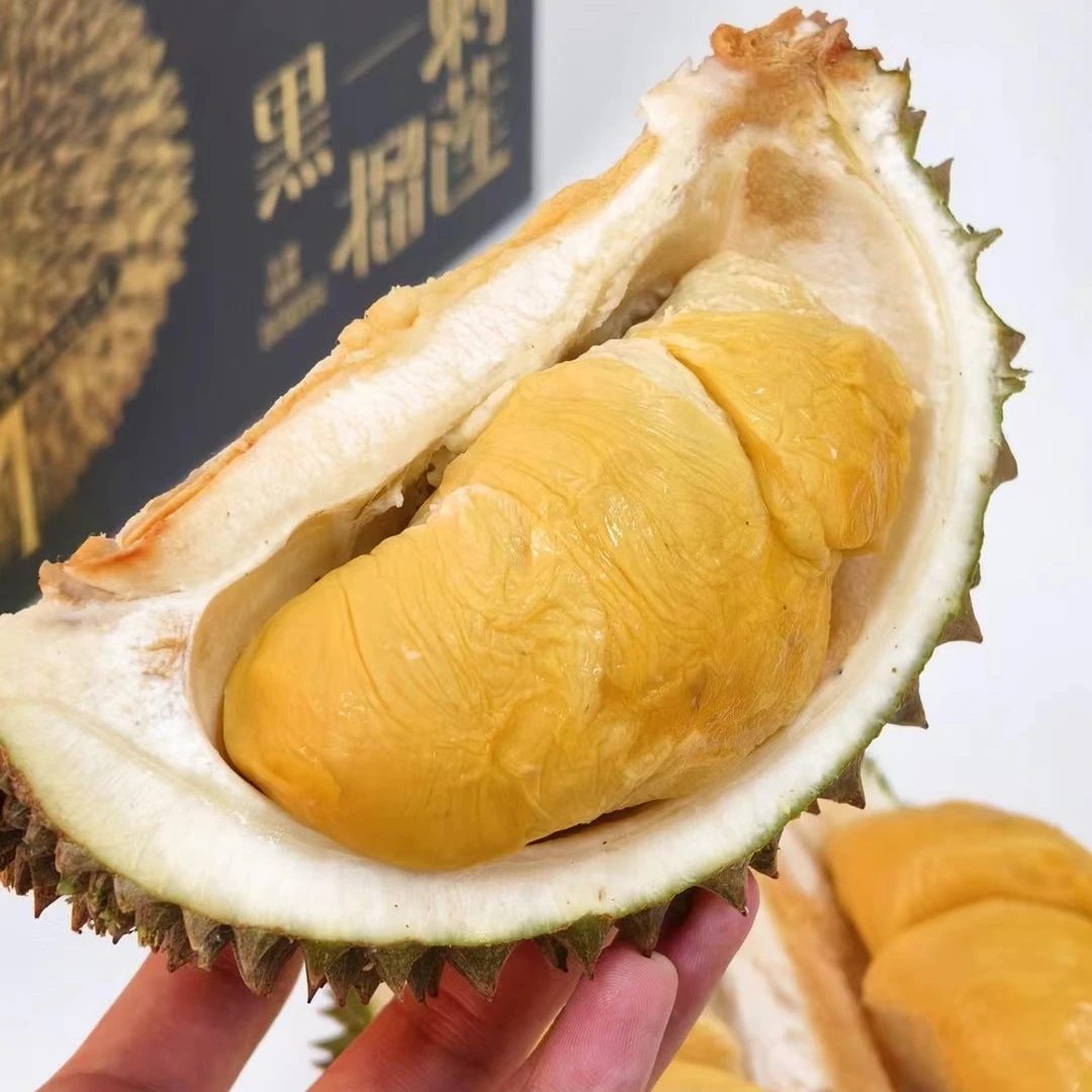 马来西亚进口树上熟黑刺D200榴莲液氮整果AA果保5房顺丰空运冷链