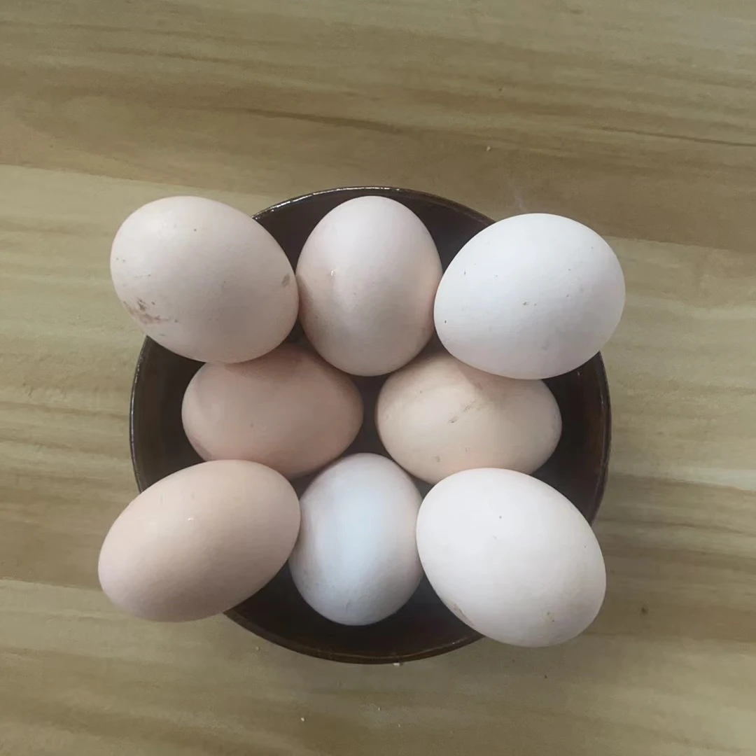 恩施农户养土鸡蛋