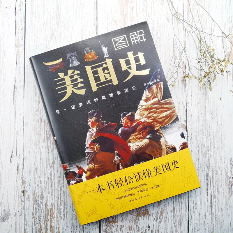 图解美国史 彩色插图世界历史书欧洲史欧洲美国