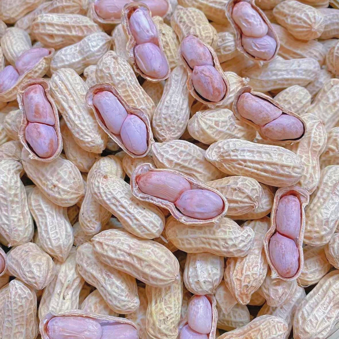 【24年新果】自然日晒干 盐干白玉 咸干花生新鲜食用