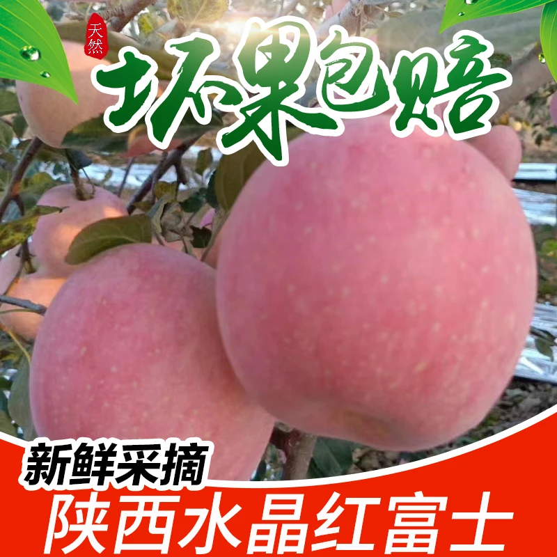 正宗陕西脆红红富士苹果5-10斤装（带箱重）脆甜香甜农产品肉厚新鲜