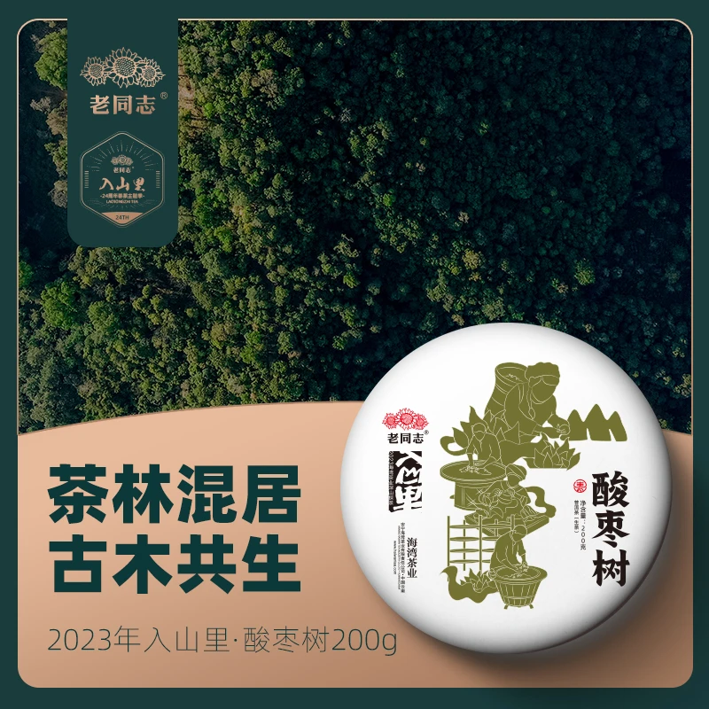 老同志【入山里】2023年酸枣树 限定地块 古树 生茶200克/饼