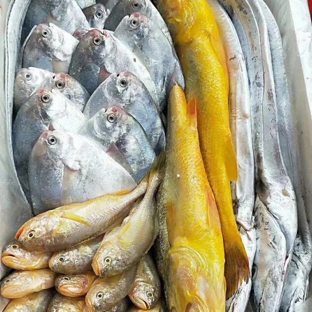 精品好货多多礼包多样组合时令海鲜随机搭配(黄鱼带鱼鲳鱼虾为主)