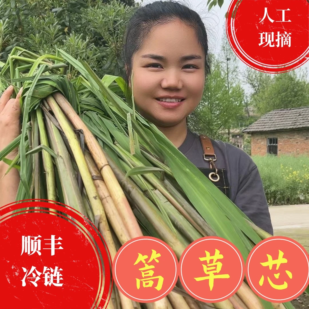湖北野篙菜 2斤装 顺丰冷链包邮