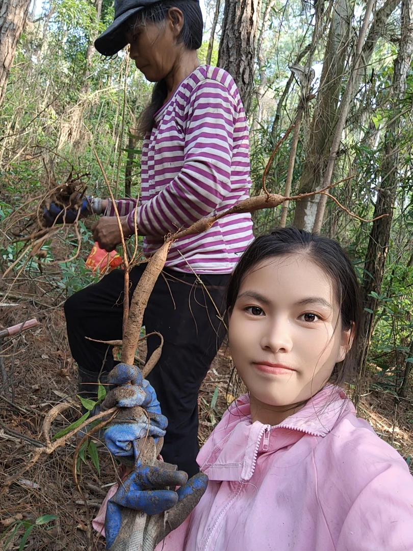 野生甘草牛鲜货500g煲汤泡酒